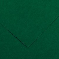 Бумага цветная CANSON Iris Vivaldi, 120г/м2, 21х29.7см, 31 Зеленый еловый; 100л./упак.