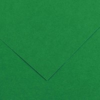 Бумага цветная CANSON Iris Vivaldi, 240г/м2, 21х29.7см, 30 Зеленый мох; 50л./упак.