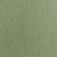 Бумага для пастели зел.эвкалипт Graf'Art МАЛЕВИЧЪ 270г/м2 А4, 50л.