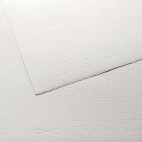 Бумага для офорта ARCHES Ingres MBM, 130г/м2, лист 50х65см, Верже, Белая; 100л./упак.