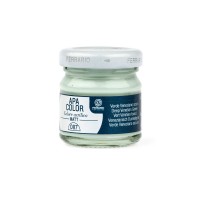 Краска акриловая APA COLOR 40мл Ferrario, 87 зеленый венецианский темный