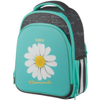 Ранец Berlingo Expert Plus 