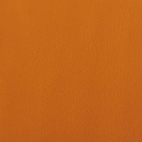 Цвет: 47 - Оранжевая настурция