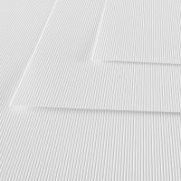Картон гофрированный цветной CANSON, 300г/м2, лист 50х70см, 01 Белый; 10л./упак.