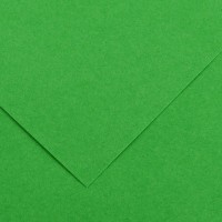 Бумага цветная CANSON Iris Vivaldi, 120г/м2, 50х65см, 29 Зеленый яркий; 25л./упак.