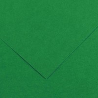 Бумага цветная CANSON Iris Vivaldi, 120г/м2, 50х65см, 30 Зеленый мох; 25л./упак.