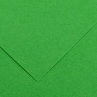 Бумага цветная CANSON Iris Vivaldi, 240г/м2, 21х29.7см, 29 Зеленый яркий; 50л./упак.
