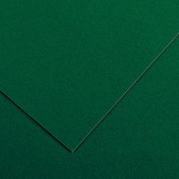 Бумага цветная CANSON Iris Vivaldi, 240г/м2, 21х29.7см, 31 Зеленый еловый; 50л./упак.
