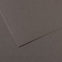 Бумага для пастели Mi-Teintes CANSON, 160г/м2, 50х65см, 345 Серый темный; 25л./упак.