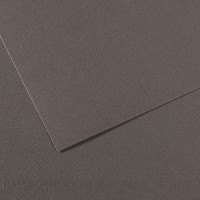 Бумага для пастели Mi-Teintes CANSON, 160г/м2, 75х110см, 345 Серый темный; 25л./упак.