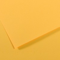 Бумага для пастели Mi-Teintes CANSON, 160г/м2, 50х65см, 400 Желтый канареечный; 25л./упак.