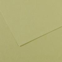 Бумага для пастели Mi-Teintes CANSON, 160г/м2, 50х65см, 480 Зеленый светлый; 25л./упак.