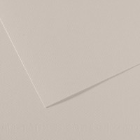Бумага для пастели Mi-Teintes CANSON, 160г/м2, 50х65см, 120 Серый жемчужный; 25л./упак.