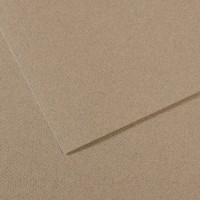 Бумага для пастели Mi-Teintes CANSON, 160г/м2, 50х65см, 429 Серый фетр; 25л./упак.