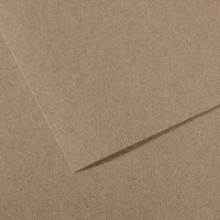 Бумага для пастели Mi-Teintes CANSON, 160г/м2, 75х110см, 431 Серый стальной; 25л./упак.