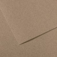 Бумага для пастели Mi-Teintes CANSON, 160г/м2, 75х110см, 431 Серый стальной; 25л./упак.