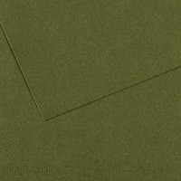 Бумага для пастели Mi-Teintes CANSON, 160г/м2, 50х65см, 448 Зеленый плющ; 25л./упак.