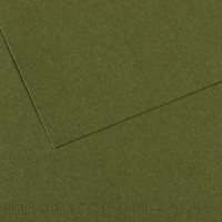 Бумага для пастели Mi-Teintes CANSON, 160г/м2, 75х110см, 448 Зеленый плющ; 25л./упак.