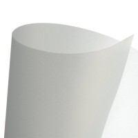 Пластик цветной CANSON, 455г/м2, 50х70см, Серебряный; 10л./упак.