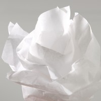 Бумага шелковая CANSON Silk, 20г/м2, рулон 50х500см, 01 Белый; 10рул./упак.