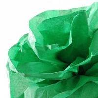 Бумага шелковая CANSON Silk, 20г/м2, рулон 50х500см, 21 Зеленый яркий; 10рул./упак.