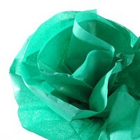 Бумага шелковая CANSON Silk, 20г/м2, рулон 50х500см, 50 Зеленый папоротник; 10рул./упак.