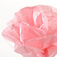 Бумага шелковая CANSON Silk, 20г/м2, рулон 50х500см, 60 Розовый яркий; 10рул./упак.