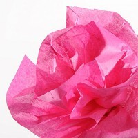 Бумага шелковая CANSON Silk, 20г/м2, рулон 50х500см, 61 Розовый карамельный; 10рул./упак.