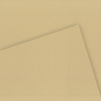 Бумага для графики CANSON C à Grain, 250г/м2, лист 50х65см, желтая охра, 50л./упак.