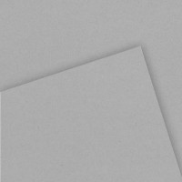 Бумага для графики CANSON C à Grain, 250г/м2, лист 50х65см, серый, 50л./упак.