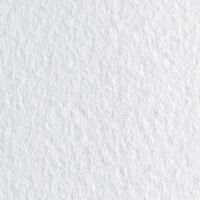 Бумага для пастели FABRIANO Tiziano, 160г/м2, 21x29.7см, Белый, 50л./упак.