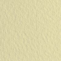 Бумага для пастели FABRIANO Tiziano, 160г/м2, 21x29.7см, Кремовый, 50л./упак.