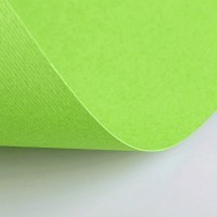 Бумага цветная FABRIANO ElleErre CartaCrea, 220г/м2, лист 50x70см, Зеленый гороховый, 20л./упак.