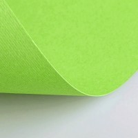Цвет: 10 - Зеленый гороховый