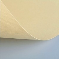 Бумага цветная FABRIANO ElleErre CartaCrea, 220г/м2, лист 50x70см, Бежево-желтый, 20л./упак.