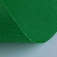 Бумага цветная FABRIANO ElleErre CartaCrea, 220г/м2, лист 50x70см, Зеленый темный, 20л./упак.