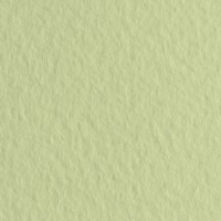 Бумага для пастели FABRIANO Tiziano, 160г/м2, 50x65см, Салатовый блеклый, 10л./упак.