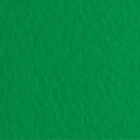 Бумага для пастели FABRIANO Tiziano, 160г/м2, 50x65см, Зеленый травяной, 10л./упак.