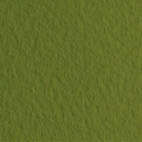 Бумага для пастели FABRIANO Tiziano, 160г/м2, 50x65см, Зеленый мох, 10л./упак.