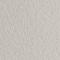 Бумага для пастели FABRIANO Tiziano, 160г/м2, 50x65см, Серый жемчужный, 10л./упак.