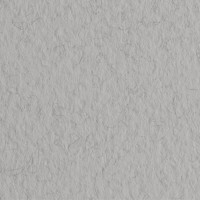 Бумага для пастели FABRIANO Tiziano, 160г/м2, 50x65см, Серый дымчатый, 10л./упак.