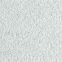 Бумага для пастели FABRIANO Tiziano, 160г/м2, 50x65см, Серый светлый, 10л./упак.