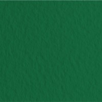 Бумага для пастели FABRIANO Tiziano, 160г/м2, 50x65см, Зеленое сукно, 10л./упак.