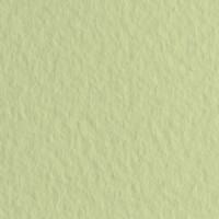 Бумага для пастели FABRIANO Tiziano, 160г/м2, 70x100см, Салатовый блеклый, 10л./упак.