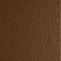 Бумага цветная FABRIANO ElleErre CartaCrea, 220г/м2, лист 21x29.7см, Коричневый, 50л./упак.