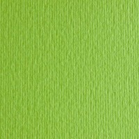Бумага цветная FABRIANO ElleErre CartaCrea, 220г/м2, лист 21x29.7см, Зеленый гороховый, 50л./упак.