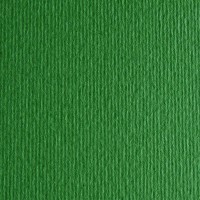 Бумага цветная FABRIANO ElleErre CartaCrea, 220г/м2, лист 21x29.7см, Зеленый, 50л./упак.