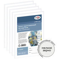 Набор холстов на картоне Гамма `Студия`, 5шт. 20х30см, хлопок 280г/м2, мелк.зерно