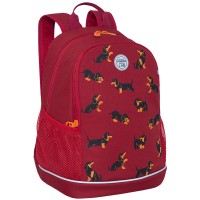 Рюкзак Grizzly красный 28х38х18см, 2 отделения, 2 кармана, анатомическая спинка