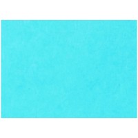 Картон тонированный А3 200г/м2 Лилия Холдинг, синий, 50л.